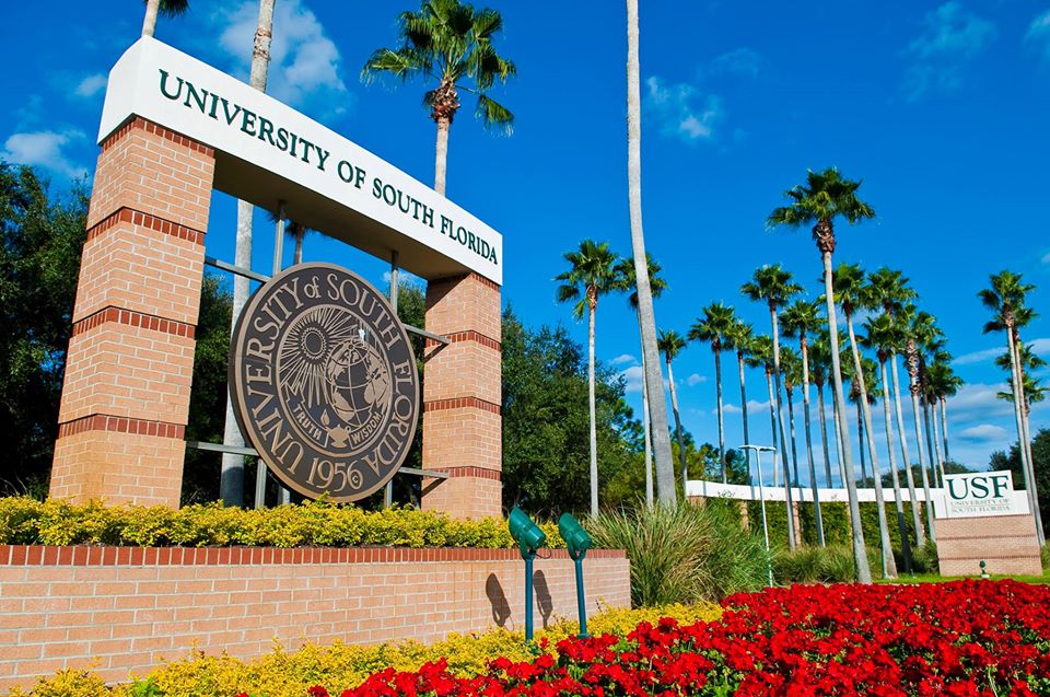 USF Financial Aid & Scholarships The World Education News (WEN)