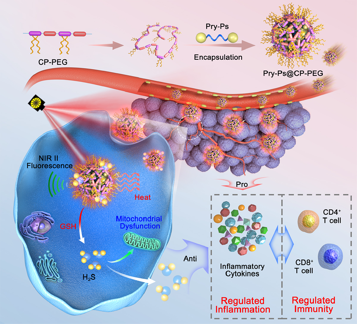 University of Macau's breakthrough in nanotechnology optimises cancer